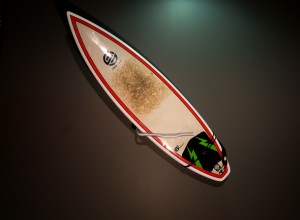 Pro Surfboard Wall Mounted Vertical Diange